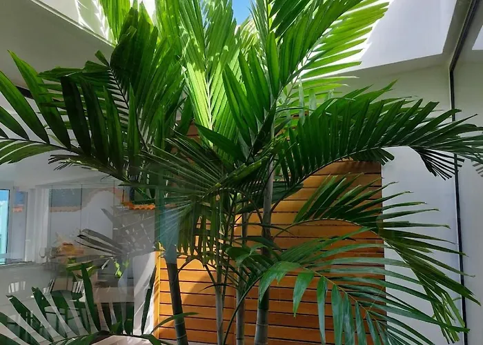 Cachito De Cielo * La Victoria de Acentejo