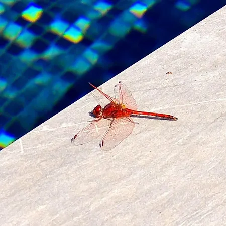 Вилла Cachito De Cielo Ла-Виктория-де-Асентехо